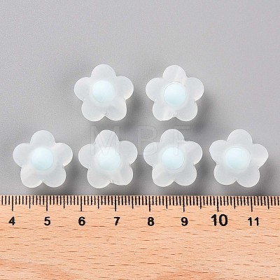 Transparent Acrylic Beads TACR-S152-09C-10-1