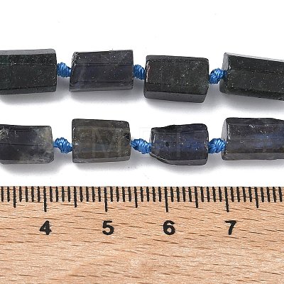 Natural Iolite Beads Strands G-C270-K06-1
