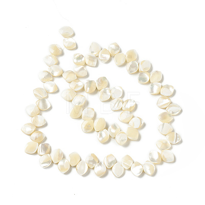 Natural Trochid Shell/Trochus Shell Beads Strands SHEL-F004-09-1