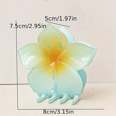 Plastic Claw Hair Clips PW-WG99DFF-06-1