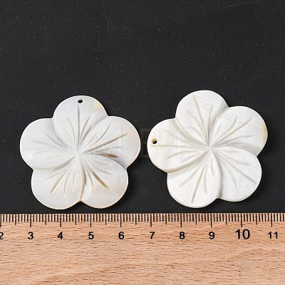 Natural Freshwater Shell Carved Pendants BSHE-S304-14-1