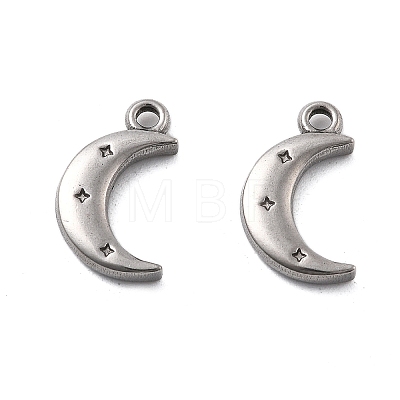 304 Stainless Steel Charms STAS-V002-03P-1