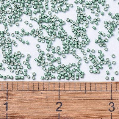 MIYUKI Delica Beads SEED-J020-DB1171-1