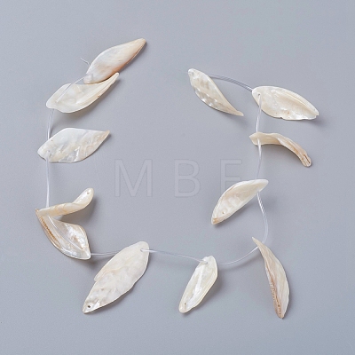 Natural Freshwater Shell Beads Strands BSHE-D019-06-1
