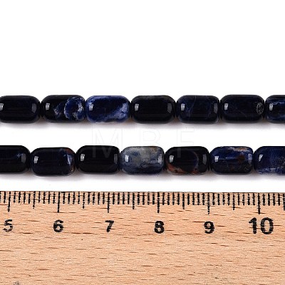 Natural Sodalite Beads Strands G-G980-37B-1