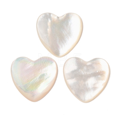 Natural White Shell Cabochons SSHEL-C012-20-1