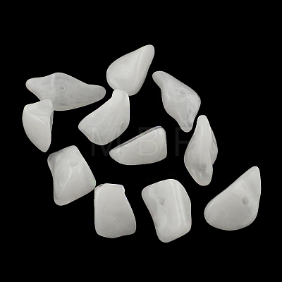 Chip Imitation Gemstone Acrylic Beads OACR-R021-24-1