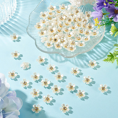 80Pcs Plastic Cabochons KY-TADJ0001-08-1