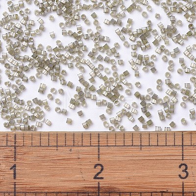 MIYUKI Delica Beads SEED-X0054-DB1876-1