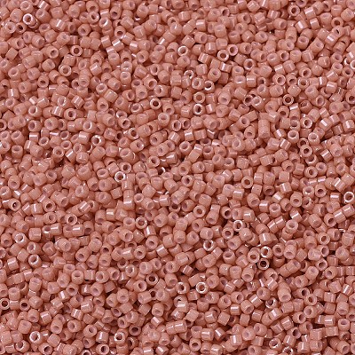 MIYUKI Delica Beads X-SEED-J020-DB1363-1