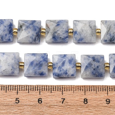 Natural Blue Spot Jasper Beads Strands G-F839-A15-01-1