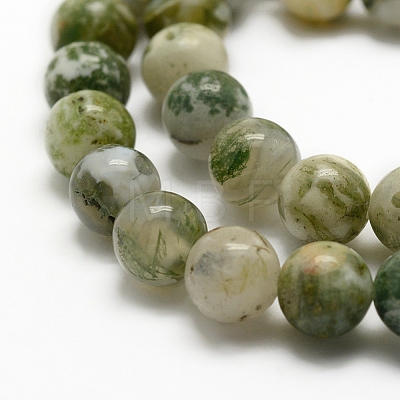 Natural Tree Agate Beads Strands X-G-K194-6mm-02-1