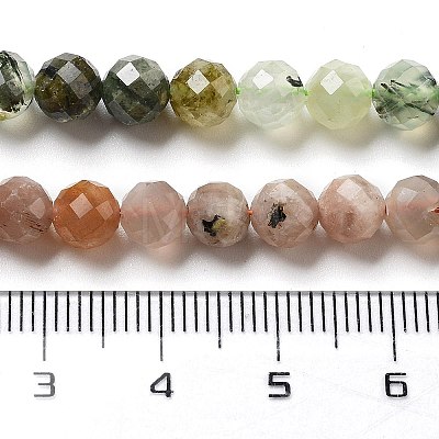 Natural Prehnite/Sunstone/Ruby Zoisite/Labradorite/Rhodonite Beads Strands G-G161-A03-02-1