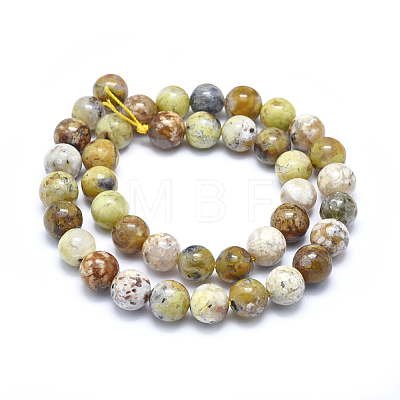 Natural Yellow Opal Beads Strands G-I213-18-10mm-1
