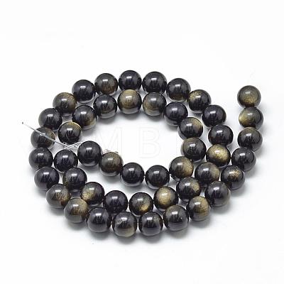 Natural Golden Sheen Obsidian Beads Strands G-R446-12mm-23-1