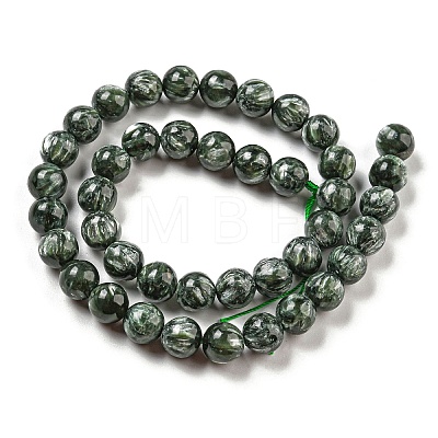 Natural Seraphinite Beads Strands G-E557-22C-01-1