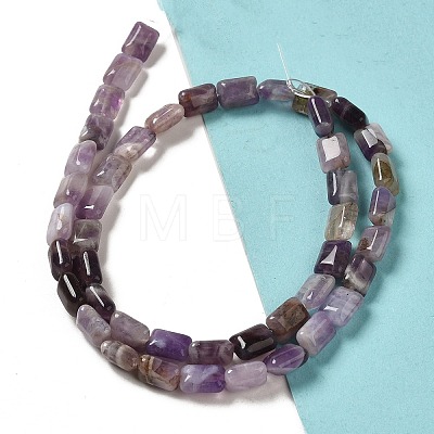 Natural Amethyst Beads Strands G-G085-A01-01-1