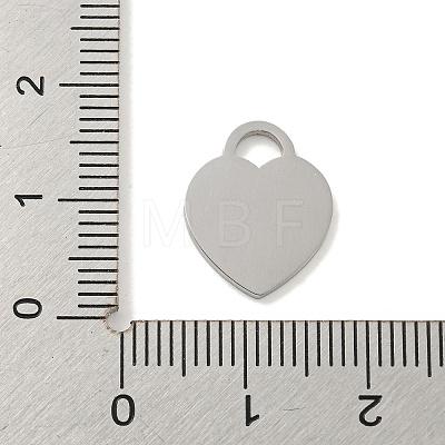 304 Stainless Steel Pendants FIND-M017-01P-W-1