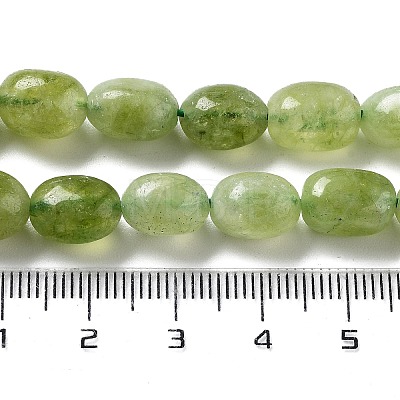 Dyed Natural Malaysia Jade Beads Strands G-P528-I01-01-1