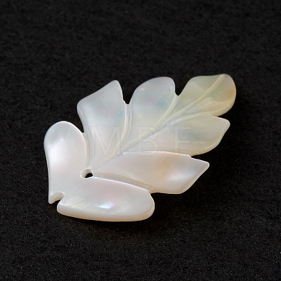 Natural Sea Shell Pendants SSHEL-K001-002-1