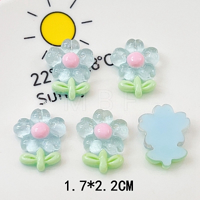 Translucent Resin Decoden Cabochons PW-WG80860-01-1