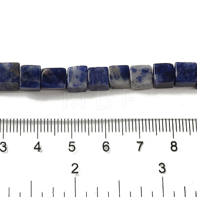 Natural Sodalite Beads Strands G-B078-K01-01-1