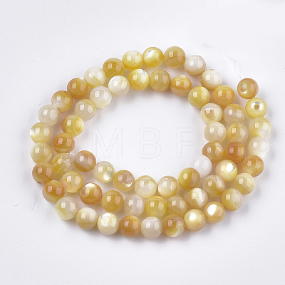 Yellow Shell Beads Strands SHEL-S274-93E-1