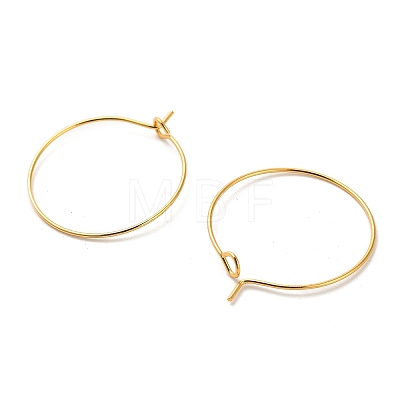 Iron Earring Findings IFIN-R211-01G-1