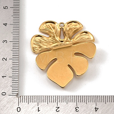 304 Stainless Steel & Resin Pendants AL-CBA5FD1-02G-1