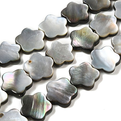 Natural Black Lip Shell Beads Strands SHEL-M021-02B-1