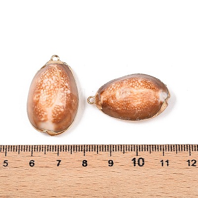 Natural Cowrie Shell Pendants SSHEL-N038-40-1