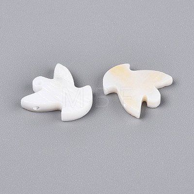 Natural Freshwater Shell Beads BSHE-T014-35-1