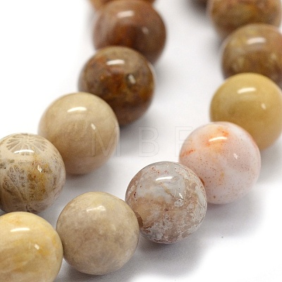 Natural Fossil Coral Beads Strands G-G763-12-4mm-1