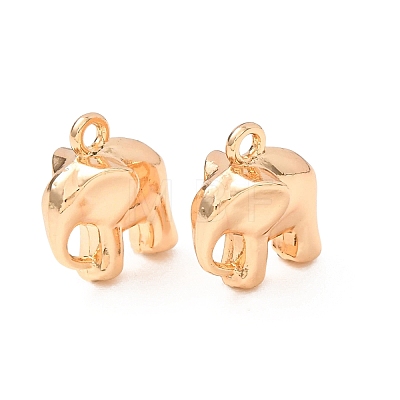 Alloy Charms AL-CBA3036-05G-1