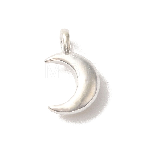 925 Sterling Silver Charms FIND-U013-06S-01-1