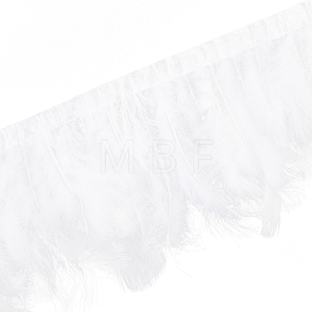 Rooster Hackle Feather Trim Fringe OCOR-WH0057-15-1