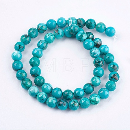 Natural Magnesite Beads Strands TURQ-F010-02-1