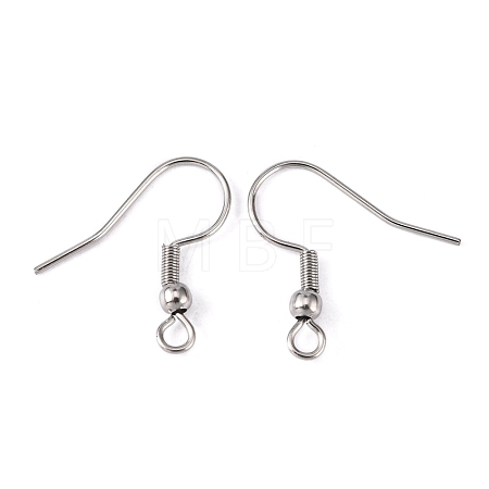 Tarnish Resistant 316 Surgical Stainless Steel Earring Hooks STAS-O032-01-1
