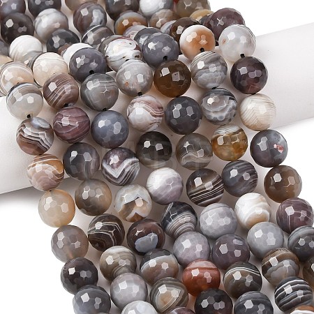 Natural Botswana Agate Beads Strands G-G453-B01-10mm-1