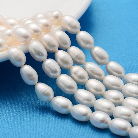Natural Cultured Freshwater Pearl Beads Strands X-PEAR-L001-15-1