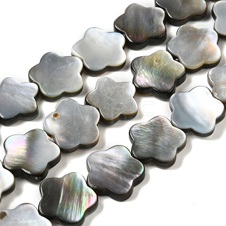 Natural Black Lip Shell Beads Strands SHEL-M021-02B-1