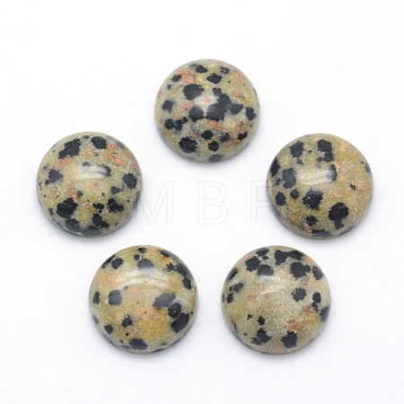 Natural Dalmatian Jasper Cabochons X-G-P393-R33-10MM-1