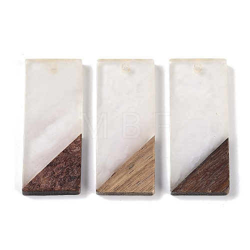 Resin & Wood Pendants WOOD-F015-09E-1