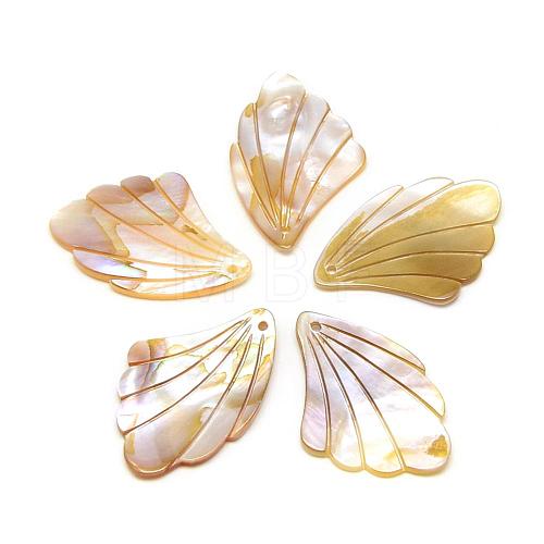 Freshwater Shell Pendants BSHE-S618-1