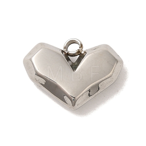 304 Stainless Steel Charms STAS-S131-06P-1