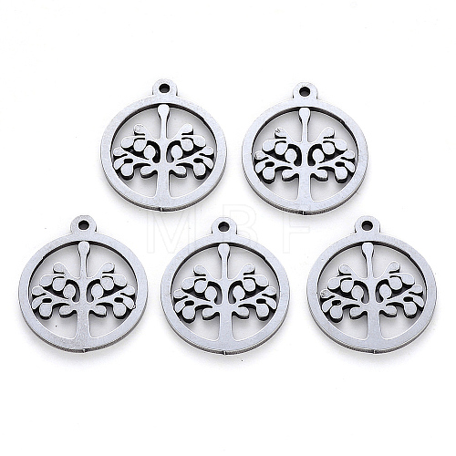 Non-Tarnish 304 Stainless Steel Pendants STAS-N092-05-1