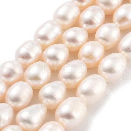 Natural Cultured Freshwater Pearl Beads Strands PEAR-P062-14D-1