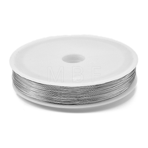 Baking Painted Iron Wire MW-NH0001-01A-1