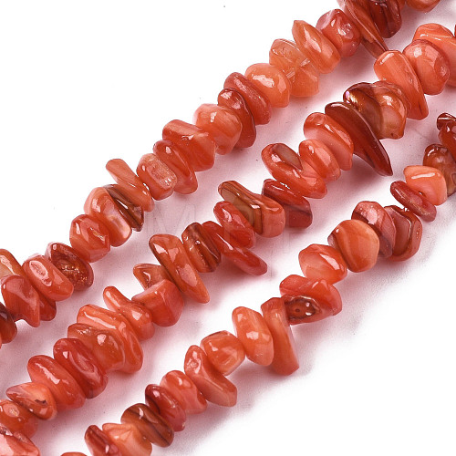 Natural Freshwater Shell Beads Strands SHEL-S278-070C-1