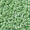 Baking Paint Glass Seed Beads SEED-S042-15A-08-3